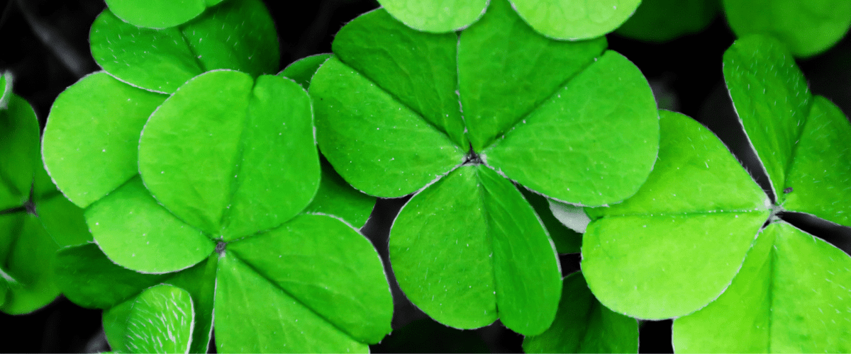 celebrating st patrick day in ireland